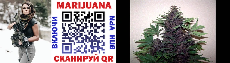 Купить  Абаза  Конопля семена 